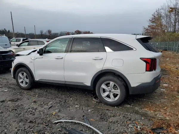5XYRGDLC5MG023032 2021 KIA SORENTO - Image 2