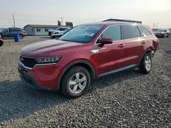 5XYRGDLC6NG101559 2022 KIA SORENTO