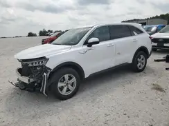 5XYRGDLC8PG174497 2023 KIA SORENTO