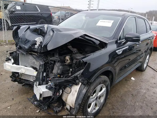 5XYRGDLC9MG005066 2021 KIA SORENTO - Image 2