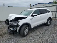 5XYRGDLCXPG220136 2023 KIA SORENTO