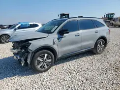 5XYRH4LF3PG203203 2023 KIA SORENTO