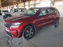5XYRH4LF5PG185254 2023 KIA SORENTO