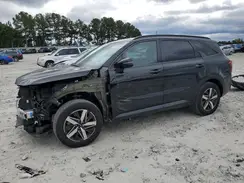 5XYRH4LF6PG170018 2023 KIA SORENTO