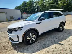 5XYRH4LF7PG185210 2023 KIA SORENTO