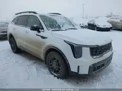 5XYRHDJF2RG302262 2024 KIA SORENTO