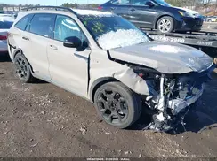 5XYRHDJF4RG307186 2024 KIA SORENTO