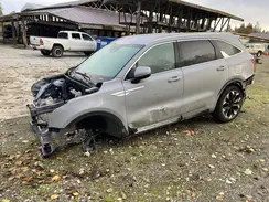 5XYRHDJF5RG294562 2024 KIA SORENTO