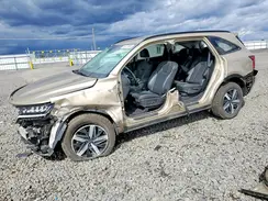 5XYRHDLF4MG059799 2021 KIA SORENTO