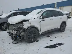 5XYRK4LF0PG177659 2023 KIA SORENTO