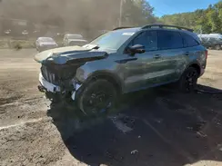 5XYRKDJF2RG309519 2024 KIA SORENTO