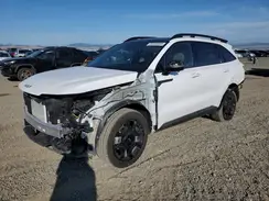 5XYRKDJF7RG251813 2024 KIA SORENTO