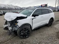 5XYRKDLF3PG245887 2023 KIA SORENTO