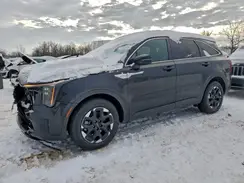 5XYRL4JC0RG269508 2024 KIA SORENTO