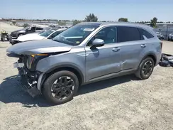 5XYRL4JC1RG295423 2024 KIA SORENTO