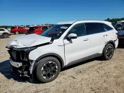 5XYRL4JC2RG290148 2024 KIA SORENTO