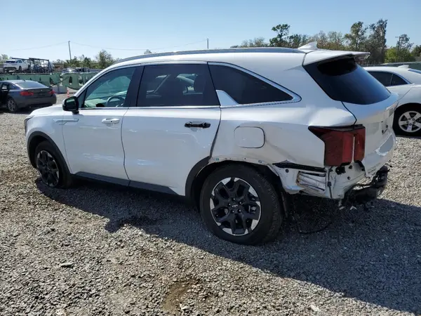5XYRL4JC3RG268854 2024 KIA SORENTO - Image 2