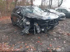 5XYRL4JC3SG384948 2025 KIA SORENTO