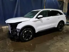 5XYRL4JC4RG274405 2024 KIA SORENTO