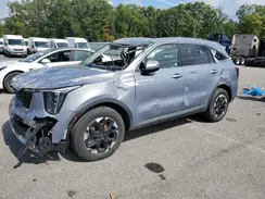 5XYRL4JC4RG278342 2024 KIA SORENTO