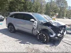 5XYRL4JC4TG463384 2026 KIA SORENTO