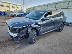 5XYRL4JC5RG256298 2024 KIA SORENTO