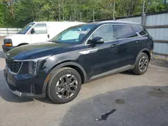 5XYRL4JC5RG274297 2024 KIA SORENTO