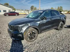 5XYRL4JC8RG285830 2024 KIA SORENTO
