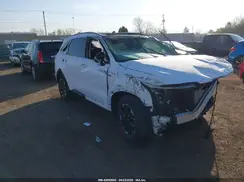 5XYRL4JCXRG273002 2024 KIA SORENTO