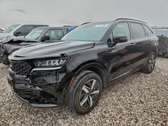 5XYRL4LC0PG167233 2023 KIA SORENTO