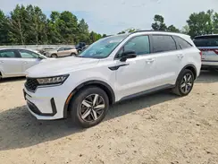 5XYRL4LC0PG172027 2023 KIA SORENTO
