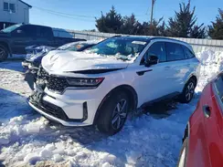 5XYRL4LC1PG173624 2023 KIA SORENTO