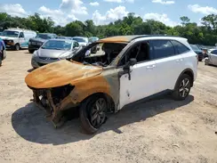 5XYRL4LC1PG212261 2023 KIA SORENTO