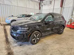 5XYRL4LC1PG240884 2023 KIA SORENTO