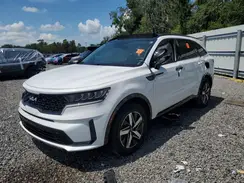5XYRL4LC2PG241607 2023 KIA SORENTO
