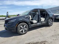 5XYRL4LC2PG253014 2023 KIA SORENTO