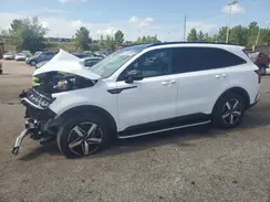 5XYRL4LC3PG178582 2023 KIA SORENTO