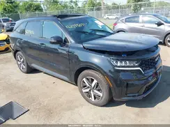 5XYRL4LC3PG245231 2023 KIA SORENTO