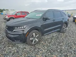 5XYRL4LC3PG245858 2023 KIA SORENTO