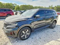 5XYRL4LC3PG246668 2023 KIA SORENTO
