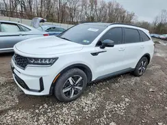 5XYRL4LC4PG164383 2023 KIA SORENTO