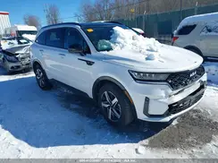 5XYRL4LC4PG252673 2023 KIA SORENTO