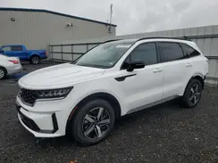 5XYRL4LC6NG162731 2022 KIA SORENTO