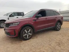 5XYRL4LC6PG226575 2023 KIA SORENTO