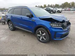 5XYRL4LC7PG162966 2023 KIA SORENTO