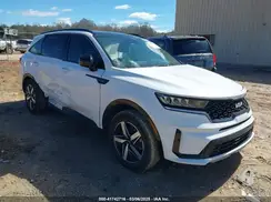 5XYRL4LC7PG238881 2023 KIA SORENTO