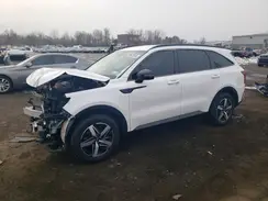 5XYRL4LC8MG055646 2021 KIA SORENTO