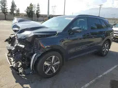 5XYRL4LC8PG182109 2023 KIA SORENTO