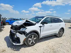 5XYRL4LC9PG206420 2023 KIA SORENTO