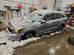 5XYRLDJC0RG260355 2024 KIA SORENTO